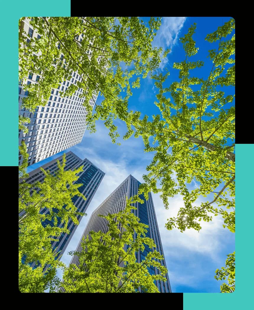 Trees in a city