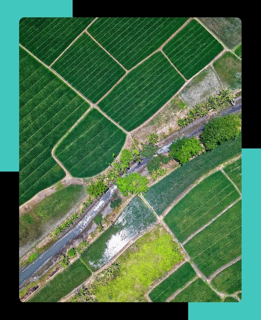 Sustainability for food and agriculture