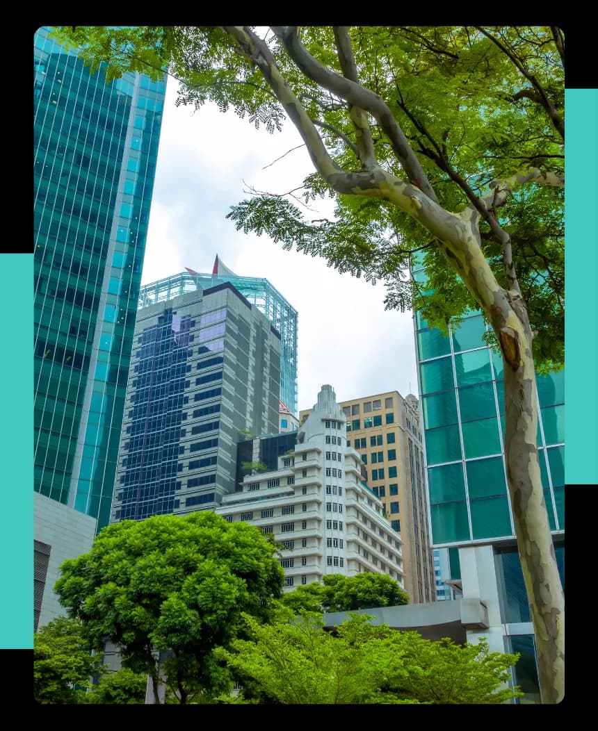 Buildings depicting benchmarks and other businesses.